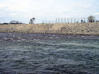 すっかり変わりましたね